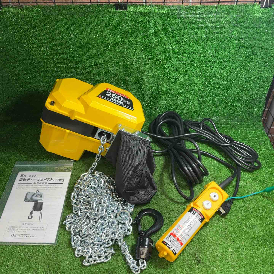【未使用品】電動チェーンホイスト250 DCH-250【藤沢店】