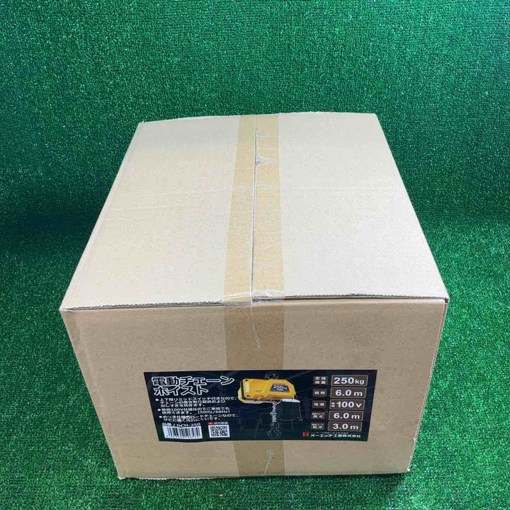 【未使用品(未開封)】 電動チェーンホイスト250 DCH-250 【藤沢店】